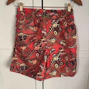 Boys' Disney Dino Park Cars On The Road Swim Trunks